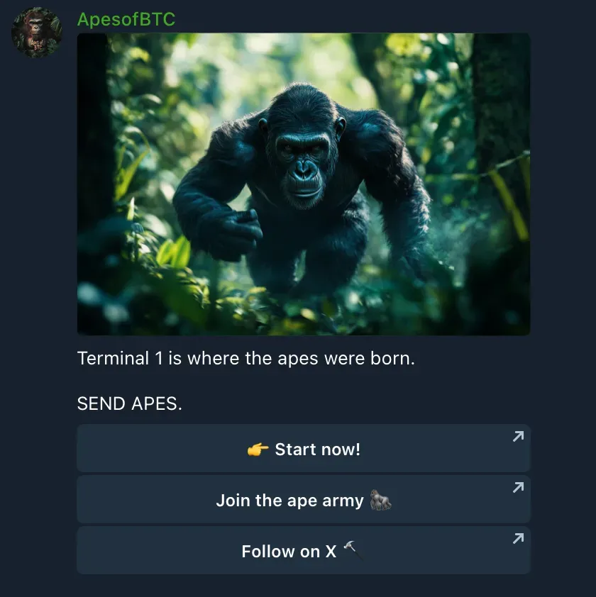 Apes of Btc - P1